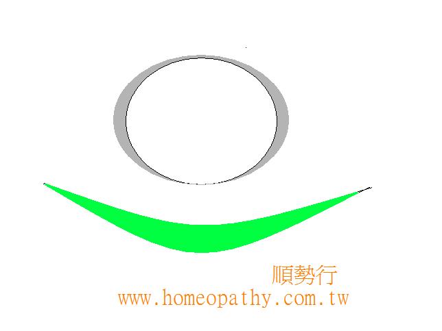 顺势行(The Taiwan Homeopathic Store)